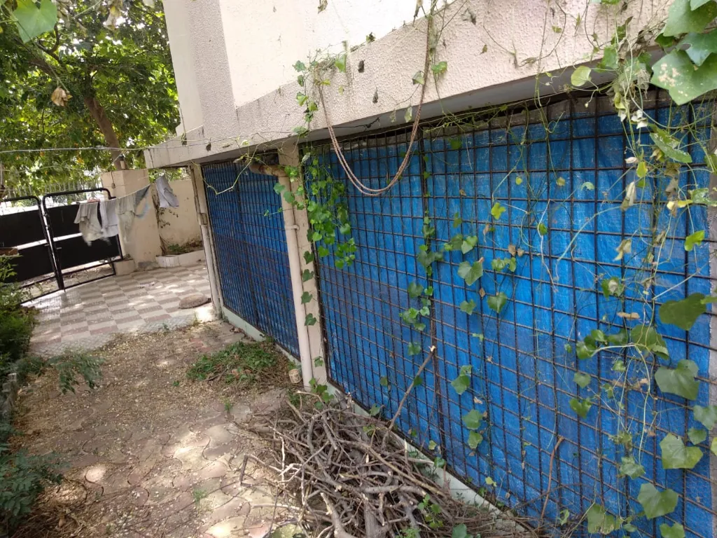 WhatsApp Image 2026-03-25 at 12.33.43 PM (1).webp